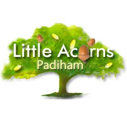 Little Acorns is an independent nursery/pre-school offering outstanding childcare for babies (3 months +) and children aged up to 5 in Padiham, Lancashire BB12.