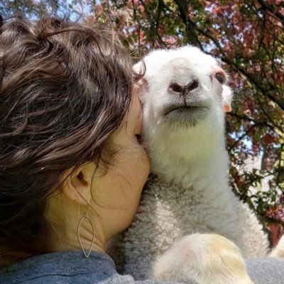 Co-Founder of Lancaster Farm Sanctuary. she/they. Total Liberation Ⓥ