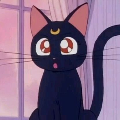 믐달🌙さんのプロフィール画像