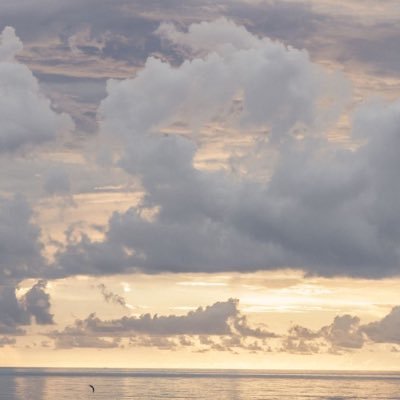 shoqa_09's profile picture. Medical intern