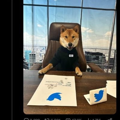 bablu78256's profile picture. 