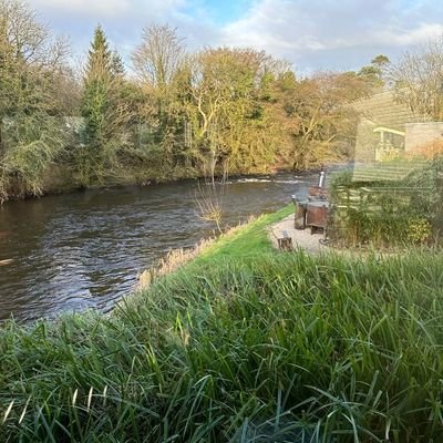 coolkat1's profile picture. Lead Pharmacy Technician Patient Services, Learning and Education Be anything but predictable❤️ Just wing it, life, eyeliner everything😘 tweets my own views