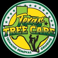 TEXAS TREE CARE(@TexasTreeCare) 's Twitter Profile Photo