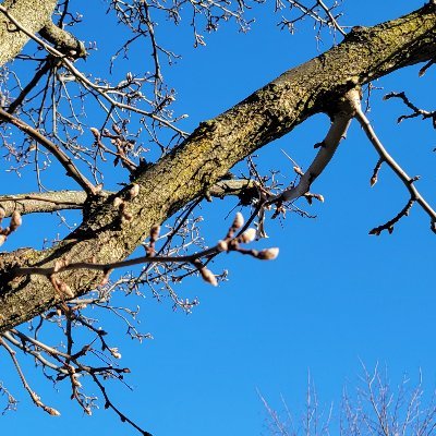 Burnitdownelon's profile picture. Trying to keep this account to music, film, science…fun things. Avoiding political Twitter. Update: I failed.