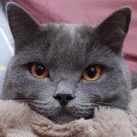 Kostia Sokolovskyi 💙💛 (@k_sokolovskyi) 's Twitter Profile Photo Kostia Sokolovskyi 💙💛 (@k_sokolovskyi) 's Twitter Profile Photo