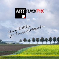 ArtRawPix(@raw_pix) 's Twitter Profile Photo