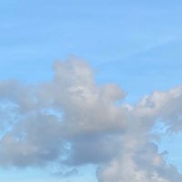 Wattikorn (@xlookedok) 's Twitter Profile