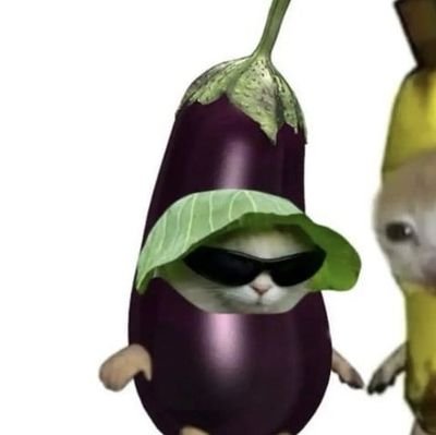 thebixovino's profile picture. bolo de chocolate é o melhor que existe e cabo.