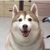 개꼴리는 야동계 (@dongh11223) Twitter profile photo 개꼴리는 야동계 (@dongh11223) Twitter profile photo