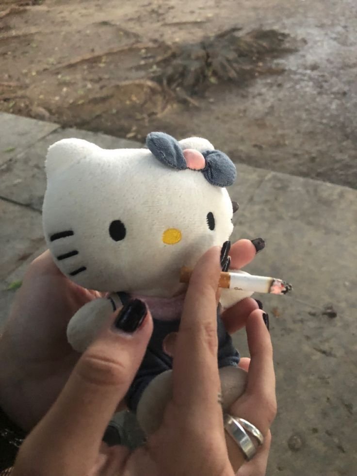 Boydlacstr0ze's profile picture. $COOKIES 🍪| HUNTER X HUNTER ||