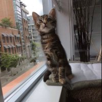 judy y (@averyflash) 's Twitter Profile