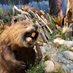 Lac La Biche Museum (@llb_museum) Twitter profile photo