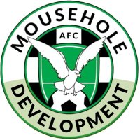 Mousehole Development (@mouseholedevs) 's Twitter Profile Photo
