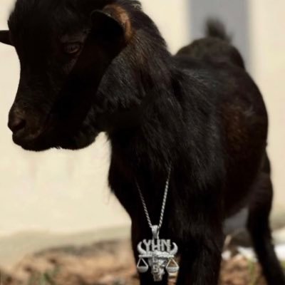 New twitter/ IG: 1Majorgoat_