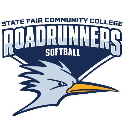State Fair Softball Profile