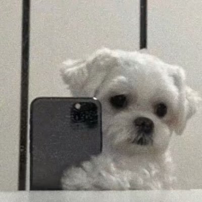 OliviaRose2711's profile picture. preppy~*.    aesthetic.*.    &.popular