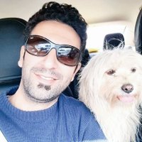 Serpico(@Ex_Muslimm) 's Twitter Profile Photo