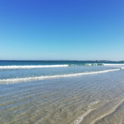 Shy_SA_guy's profile picture. A little bit Crazy