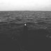 حسااام الشقي (@hu555am) Twitter profile photo حسااام الشقي (@hu555am) Twitter profile photo