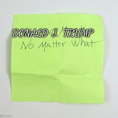 🇺🇲  Donald J Trump,  no matter what  ! 🇺🇲           
                   IFBAP