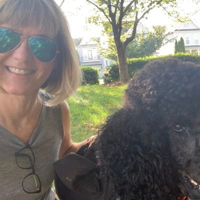 LG~Oasis~Beatles~Stones~Standard Poodle lover 🐩 ~ 704 replies from LG & 1 repost- so who’s counting ? I am