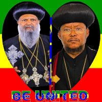 Sintayehu W. Abagaro🇪🇹(@SintayehuWedaj1) 's Twitter Profile Photo