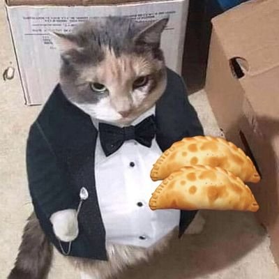 👔˙ᵕ˙♡ ·   ˚ ° ꔛ 🥟