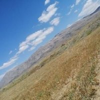 afyonlifşa ve hikaye paylaşı +20 için uygun profil (@karakulle1344) 's Twitter Profile Photo