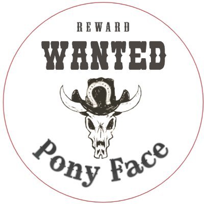 PonyFace Profile