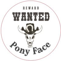 PonyFace (@ponyfaces) 's Twitter Profile