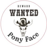 PonyFace(@PonyFaces) 's Twitter Profile Photo