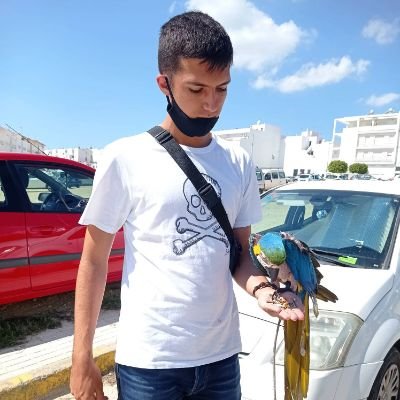 Profesional Pokémon Player
100% de Day 2 en majors (2 de 2)