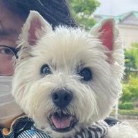 ホッシー☆彡(@milky_way_star) 's Twitter Profile Photo