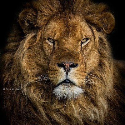 Paige4Truth's profile picture. 