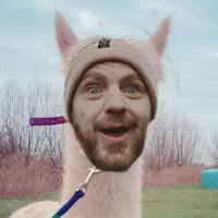 dave clare (@urmatedave) 's Twitter Profile