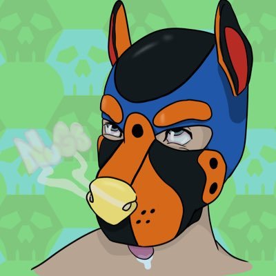 25 years old | He/Him/His/It/Its | 18+ ONLY | Wisconsin | FTM trans and demisexual | Lycanroc weeb |