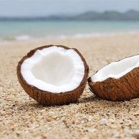 coconuts life(@JKomar87843432) 's Twitter Profile Photo