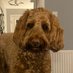 Derek Stanners (@stannersderek) Twitter profile photo Derek Stanners (@stannersderek) Twitter profile photo