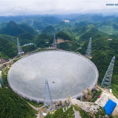 DommertN's profile picture. Tecnerd