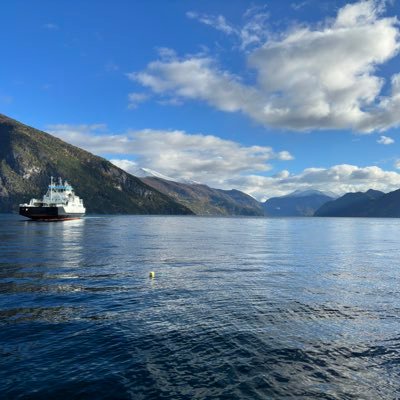 colinnardone's profile picture. 