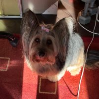 Allen (@allen40322520) 's Twitter Profile