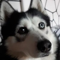 Torm3nto (@torm3nto1) 's Twitter Profile Photo Torm3nto (@torm3nto1) 's Twitter Profile Photo