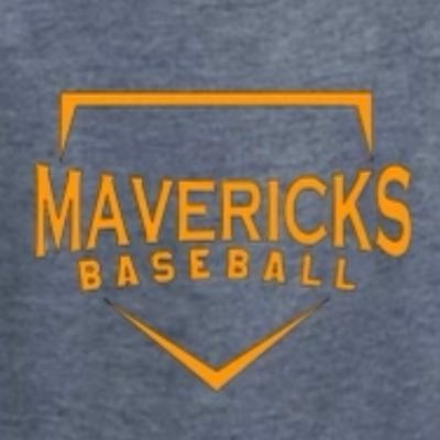 MavBaseballFans Profile Picture