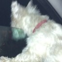 Cathy Hay - @cathay99 - Twitter