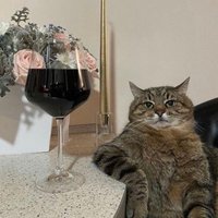 sibyl (@wolfeztwt) 's Twitter Profile
