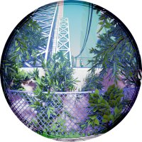 Lukewarm Fellows (@fellowslukewarm) 's Twitter Profile