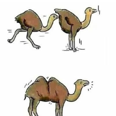 RenatoRASimoes's profile picture. Se vc estivesse dormindo, não teria que ler isto