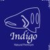 Indigo (@IndigoFishing) Twitter profile photo