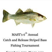 MAST Fishing Tournament 2022-23(@MAST_fishing) 's Twitter Profileg