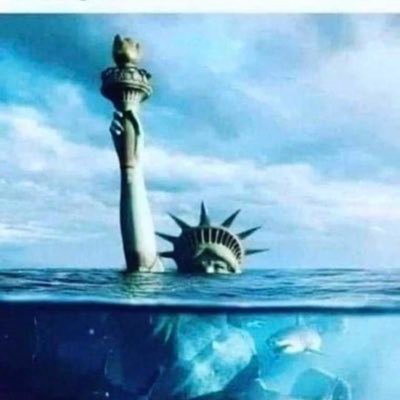 LeeO65837528's profile picture. Lost 1000’s followers over Trump posts, left Twitter and returned to speak out against the insanity! 🇺🇸
